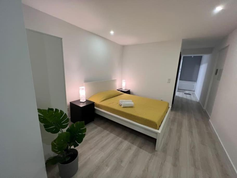 Opo - Fantastic Studio With Garden Porto Ruang foto